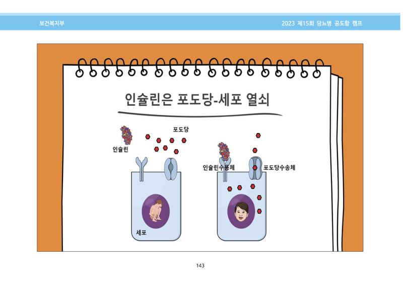 한국소아당뇨인협회 15회 공도함 캠프 E북 자료집 143페이지