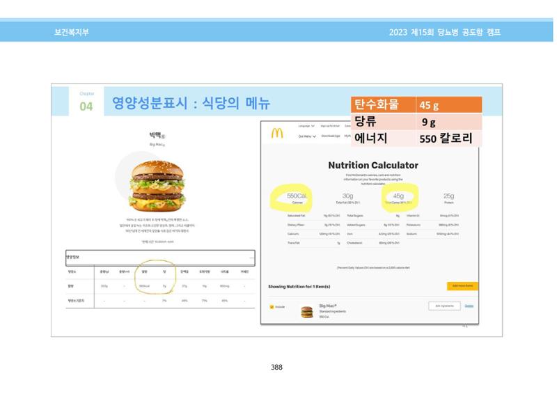 한국소아당뇨인협회 15회 공도함 캠프 E북 자료집 388페이지