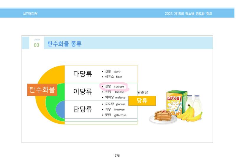 한국소아당뇨인협회 15회 공도함 캠프 E북 자료집 375페이지