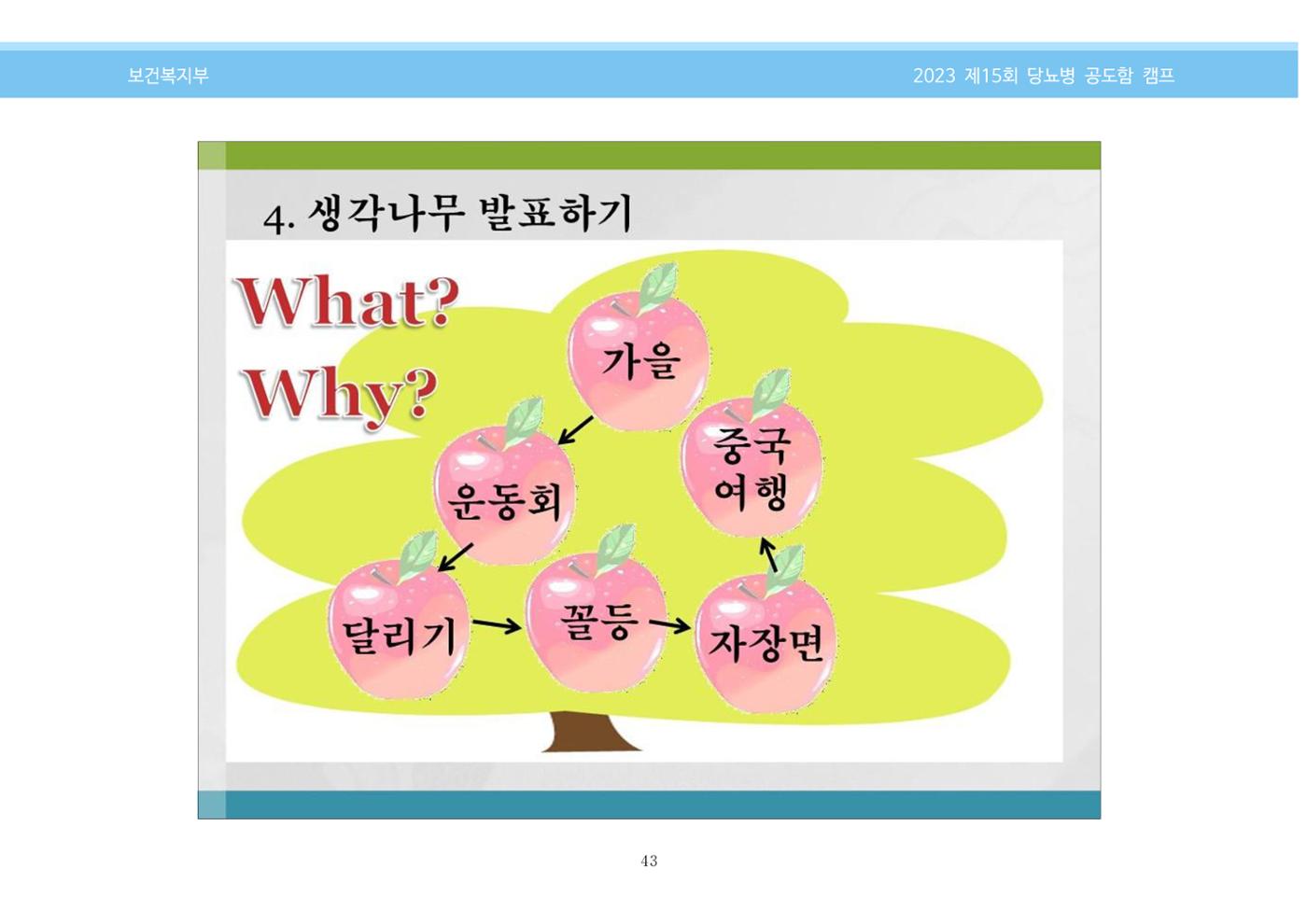 한국소아당뇨인협회 15회 공도함 캠프 E북 자료집 43페이지