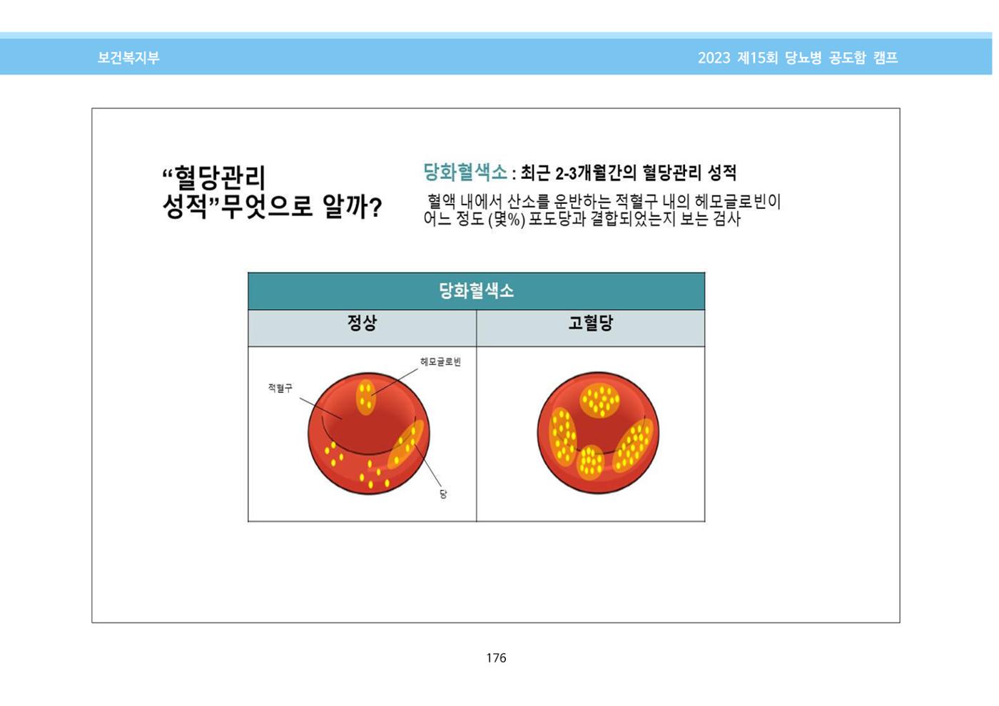 한국소아당뇨인협회 15회 공도함 캠프 E북 자료집 176페이지