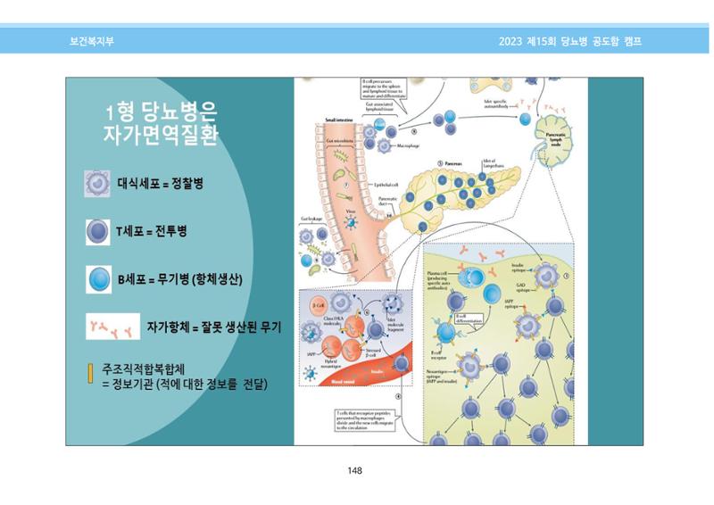 한국소아당뇨인협회 15회 공도함 캠프 E북 자료집 148페이지