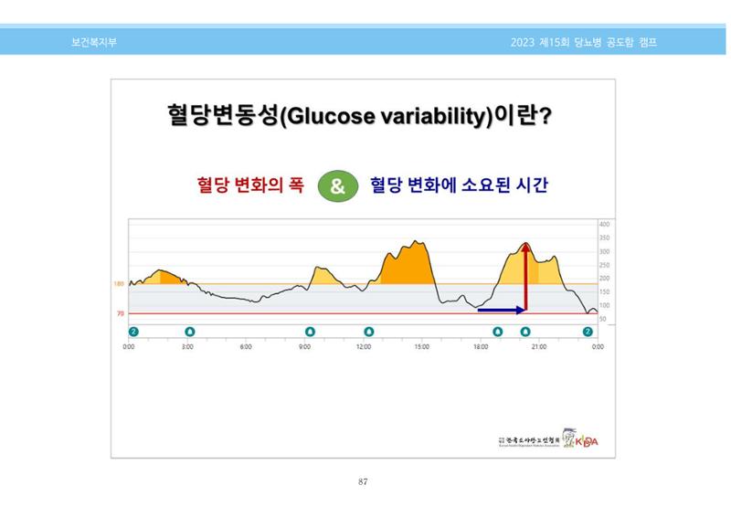 한국소아당뇨인협회 15회 공도함 캠프 E북 자료집 87페이지