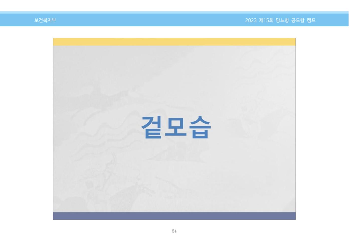 한국소아당뇨인협회 15회 공도함 캠프 E북 자료집 54페이지