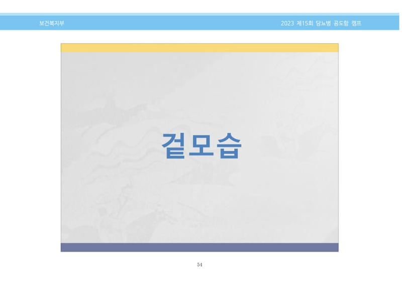 한국소아당뇨인협회 15회 공도함 캠프 E북 자료집 54페이지