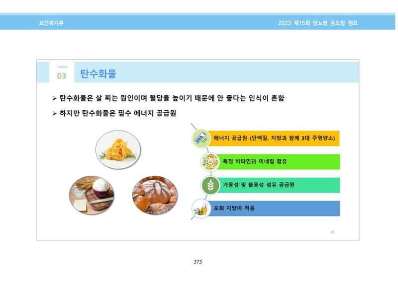 한국소아당뇨인협회 15회 공도함 캠프 E북 자료집 373페이지