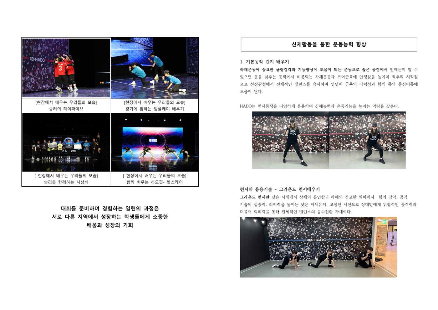 대한가상스포츠 HADO_E-book 3페이지