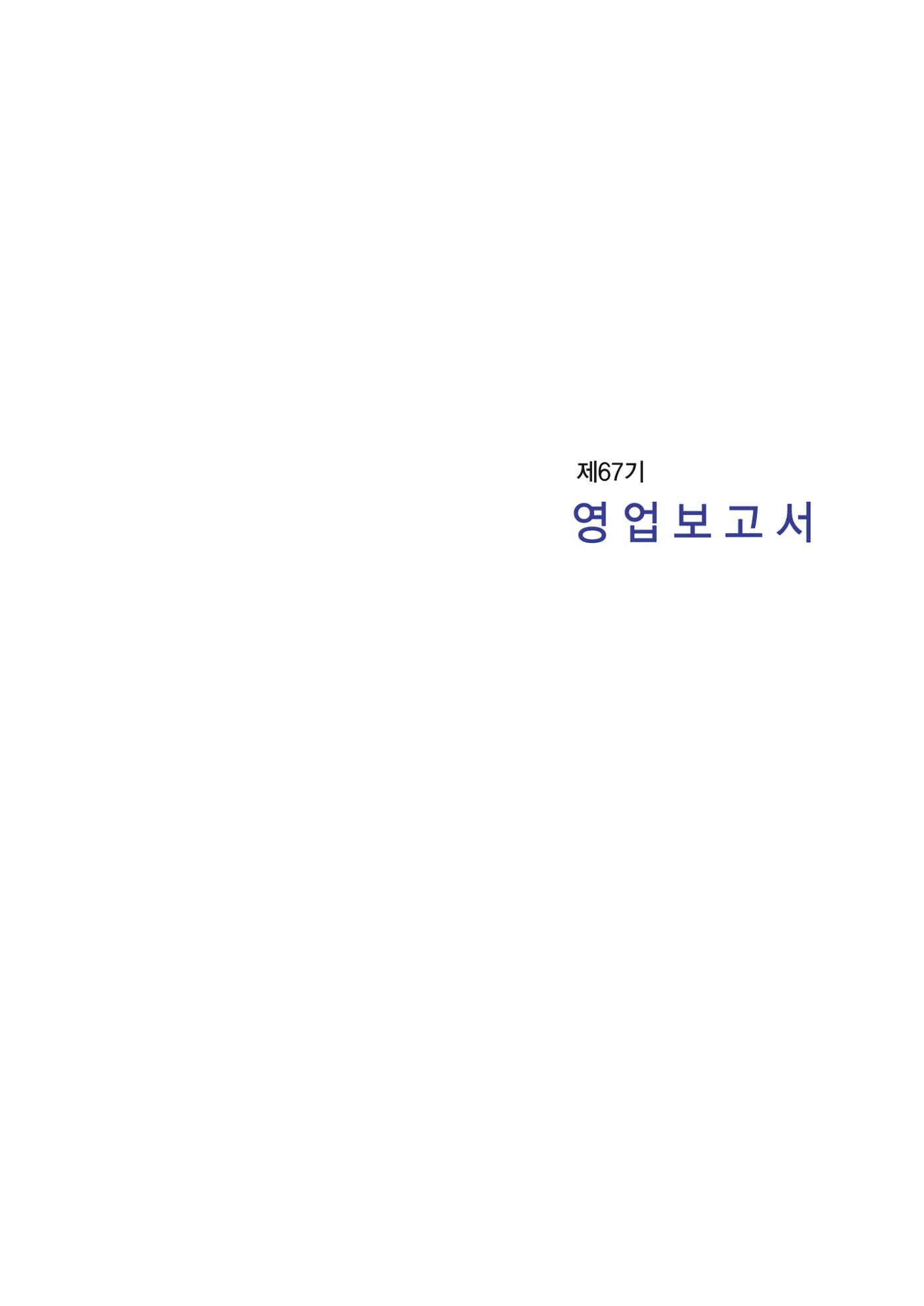 영업보고서(테스트) 12페이지
