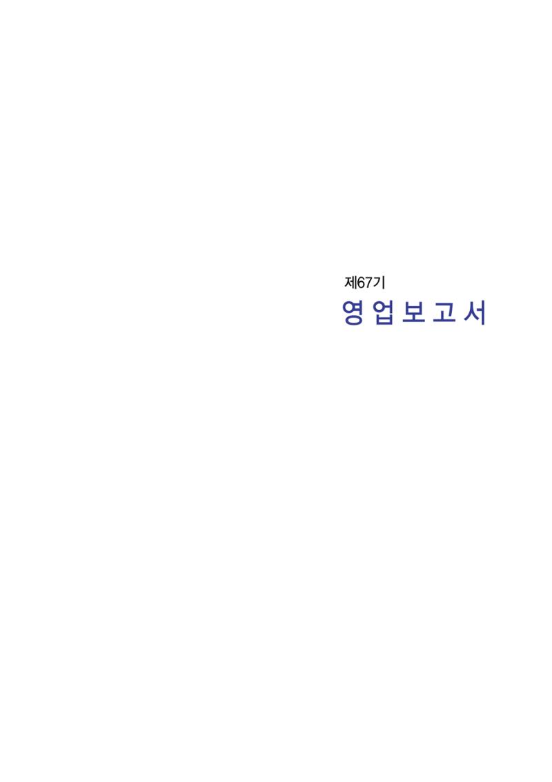 영업보고서(테스트) 12페이지