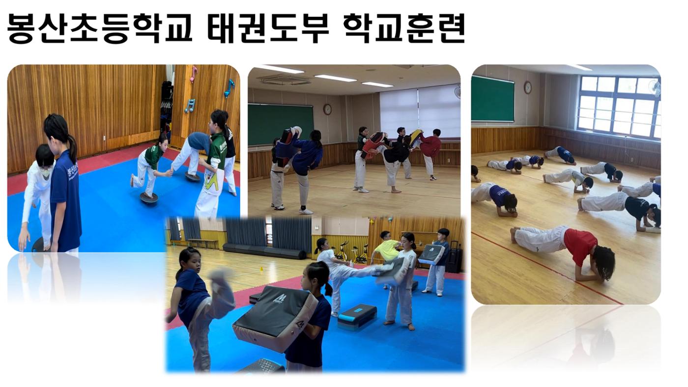 봉산초등학교 태권도부 18페이지