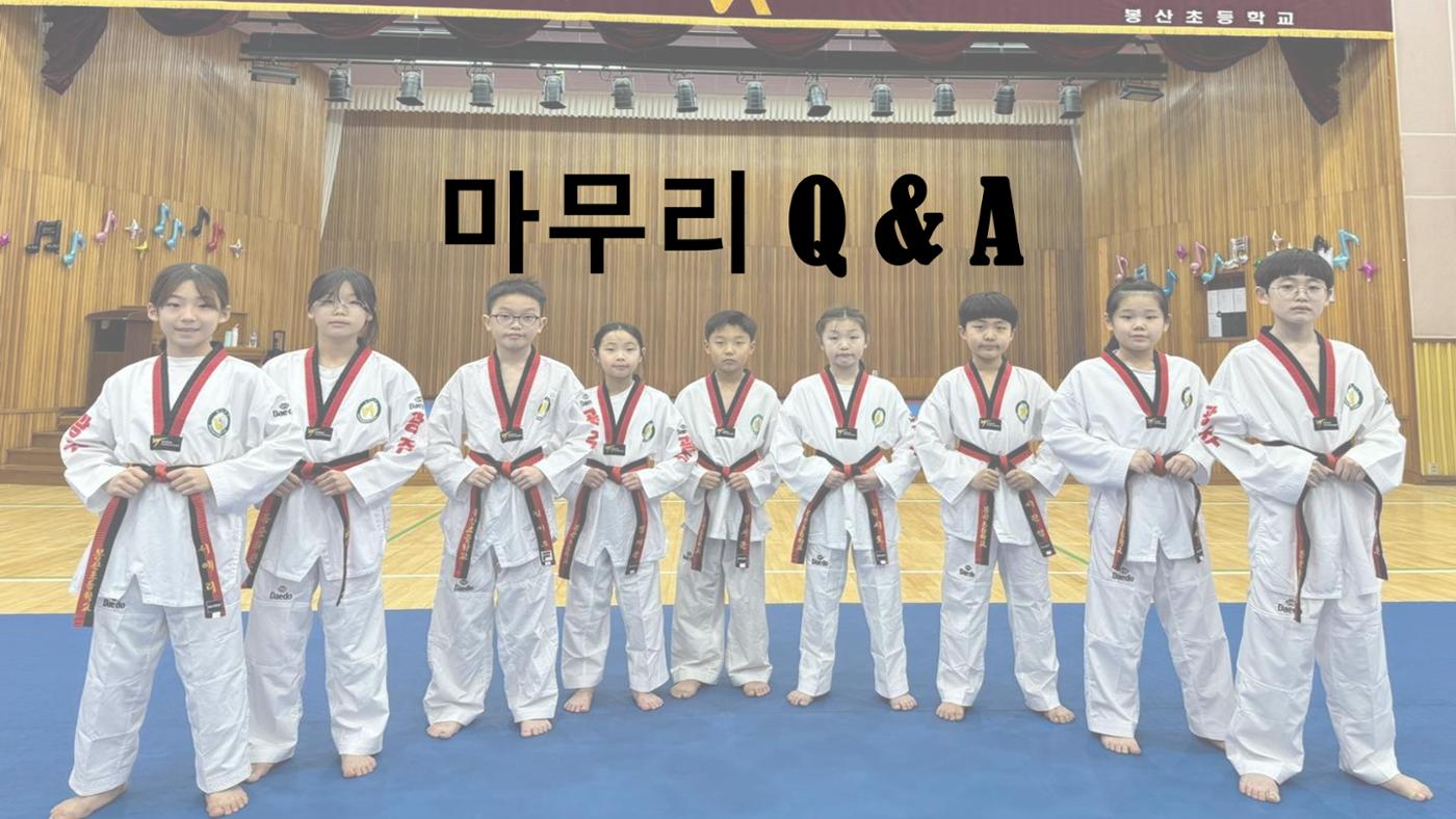 봉산초등학교 태권도부 31페이지