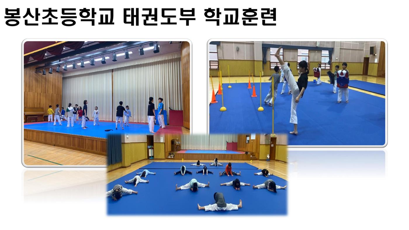 봉산초등학교 태권도부 17페이지