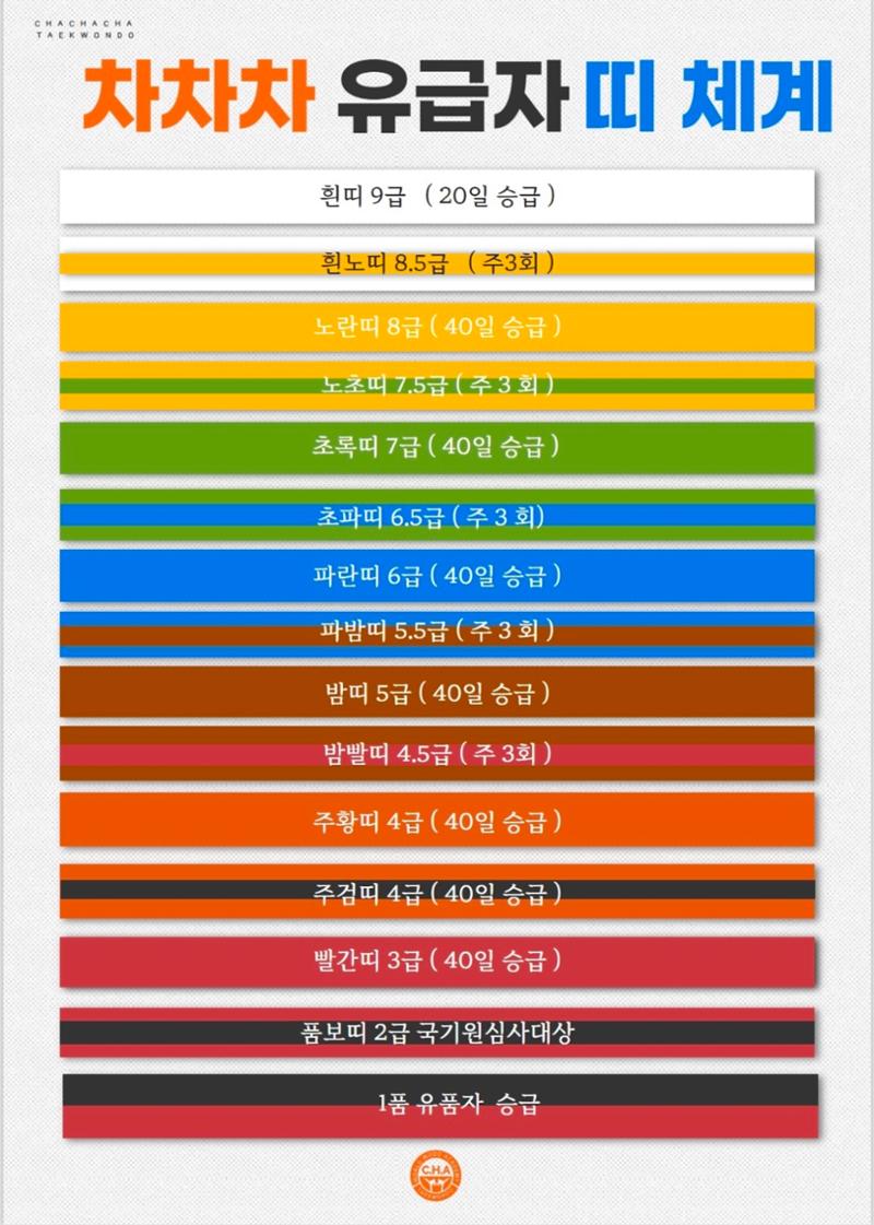 차차차태권도 입관안내서 (필독!) 6페이지