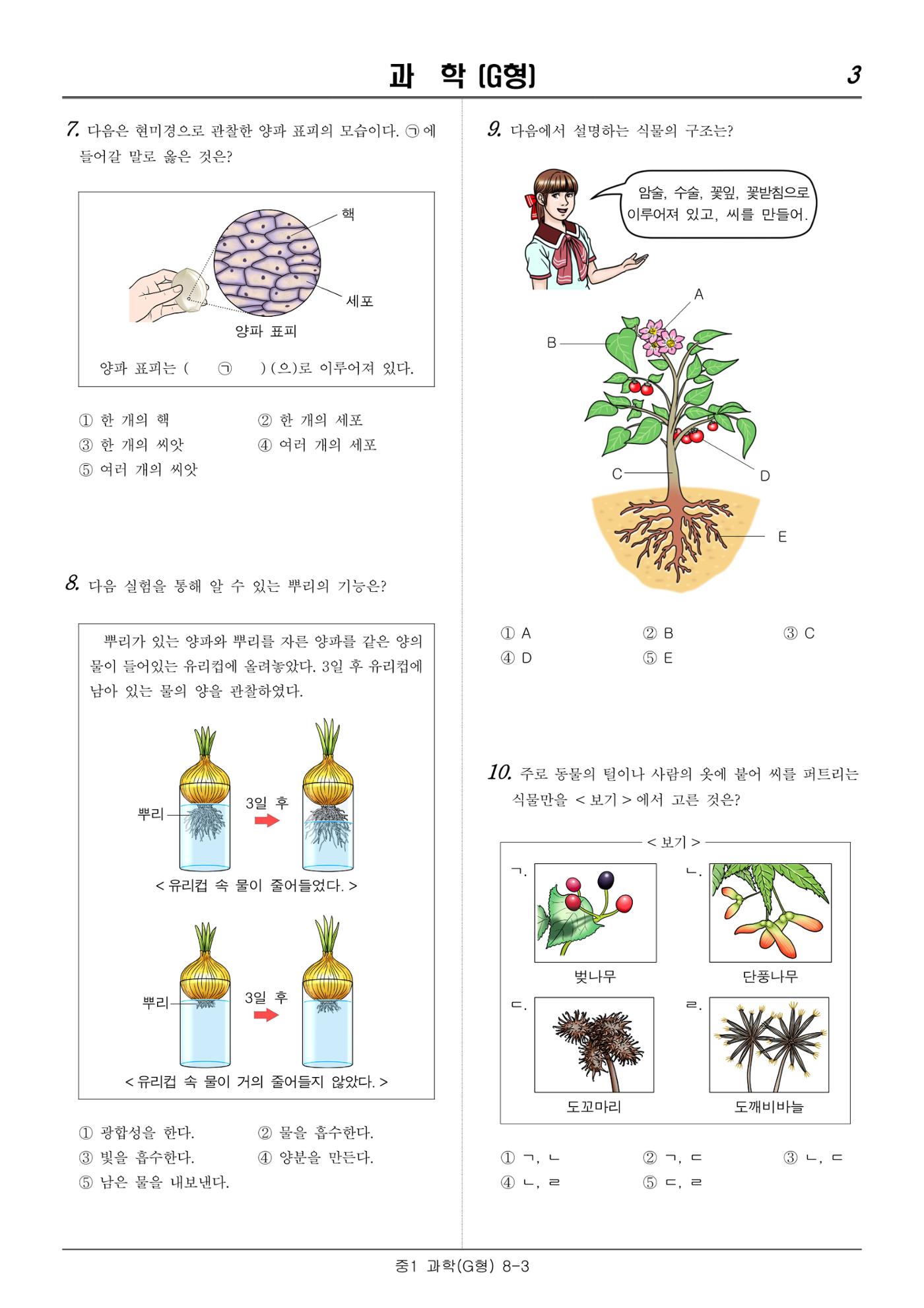 2022 기초학력 진단평가 중1  26페이지