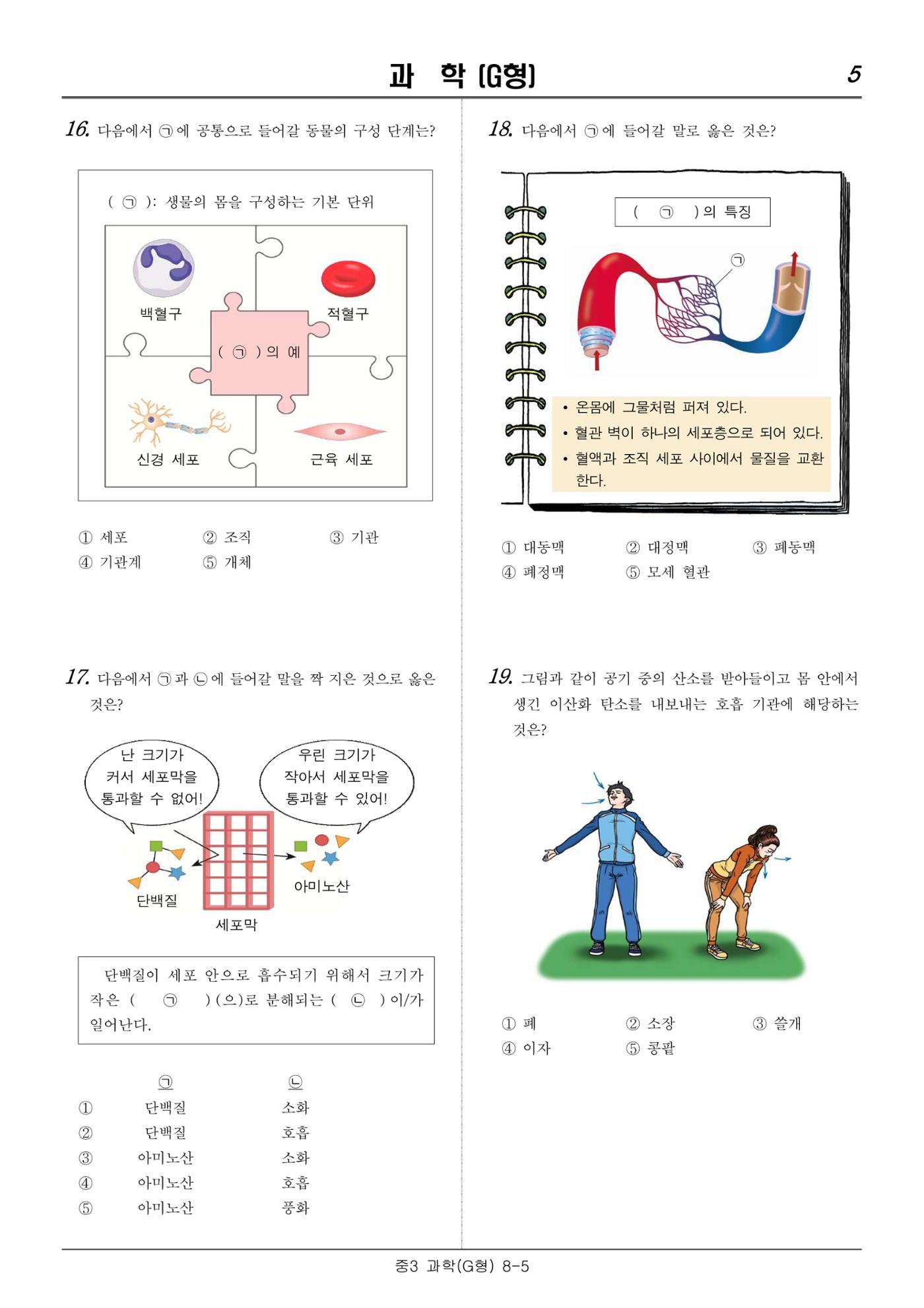 22 기초학력 진단평가 중3 28페이지