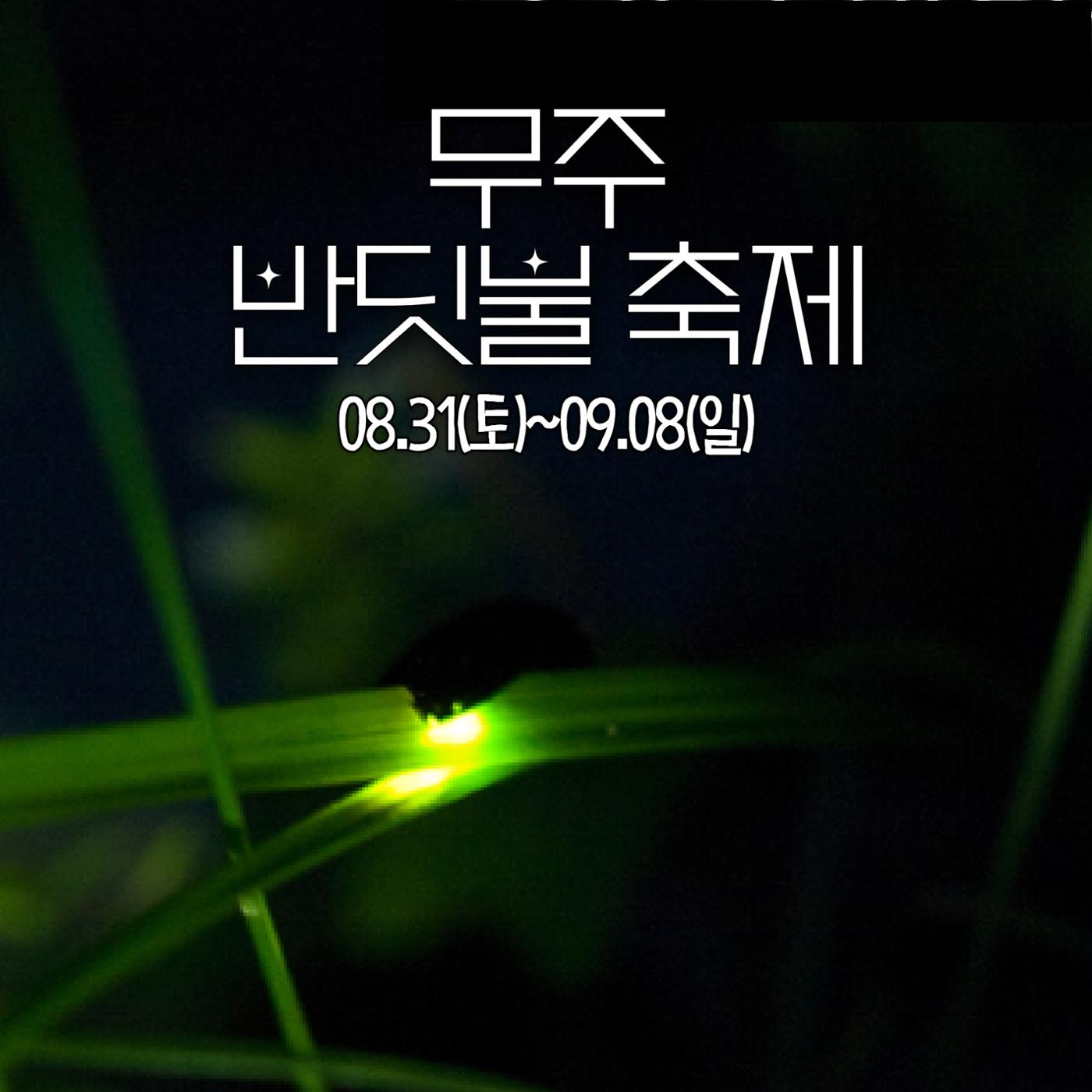 전국이색축제모음 11p