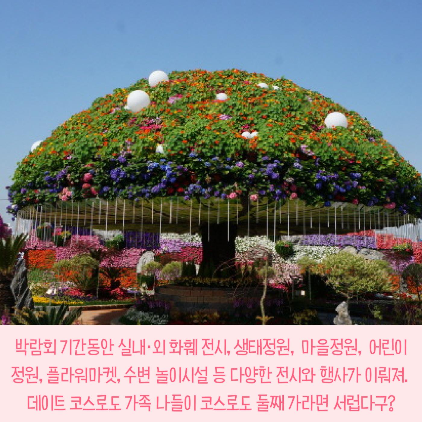 전국이색축제모음 4p