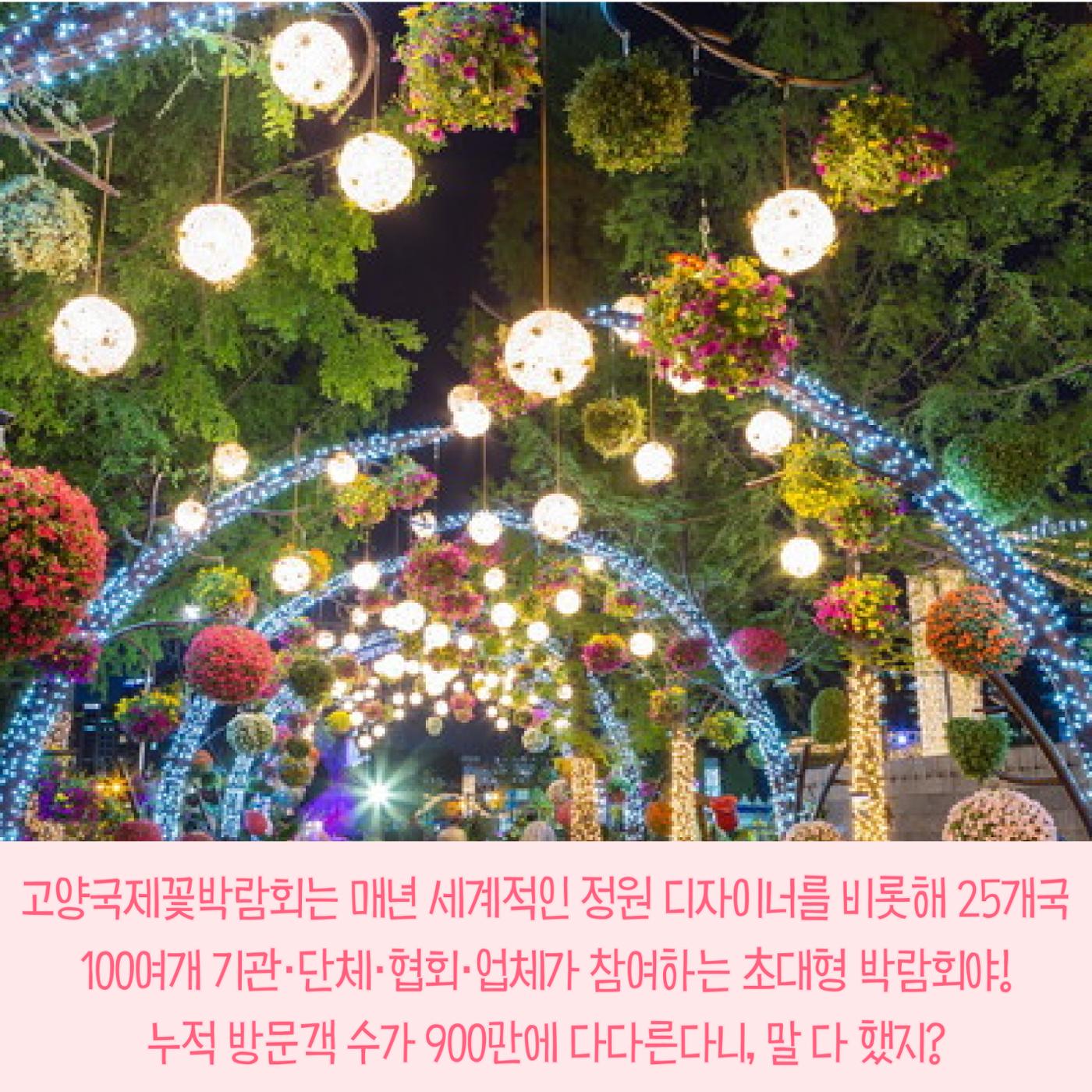 전국이색축제모음 3p