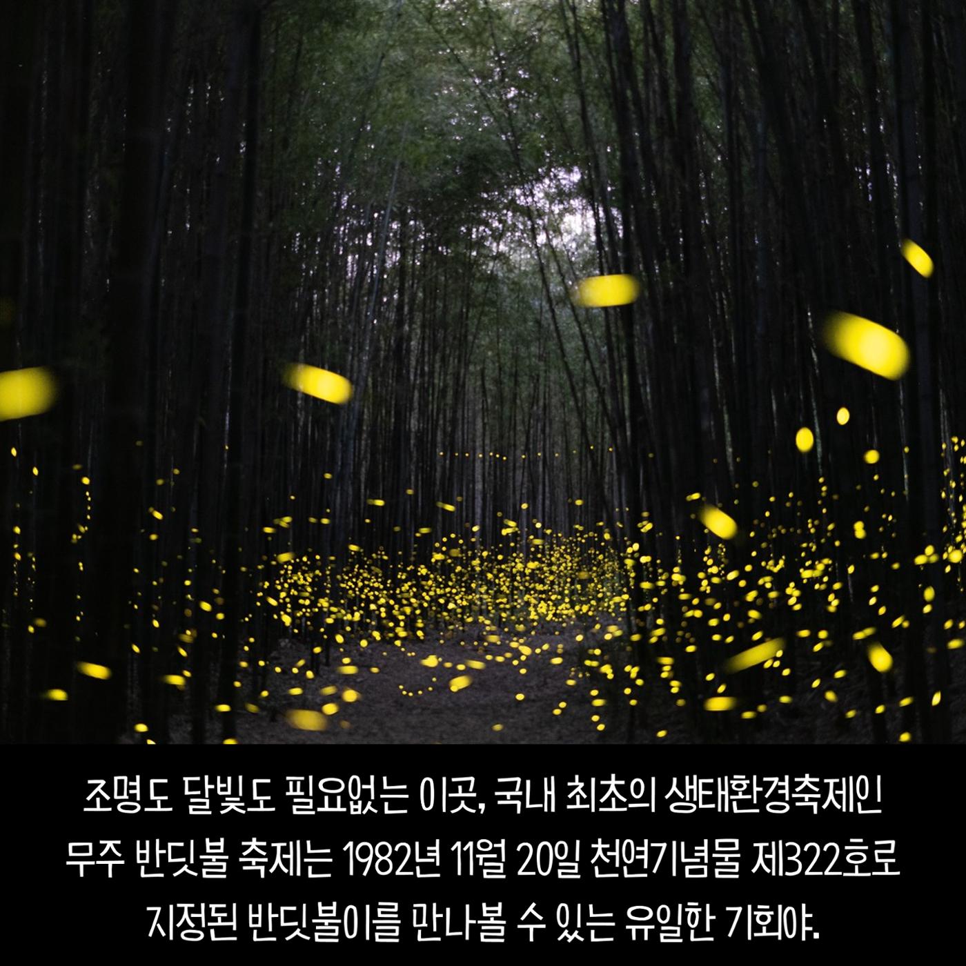 전국이색축제모음 12p