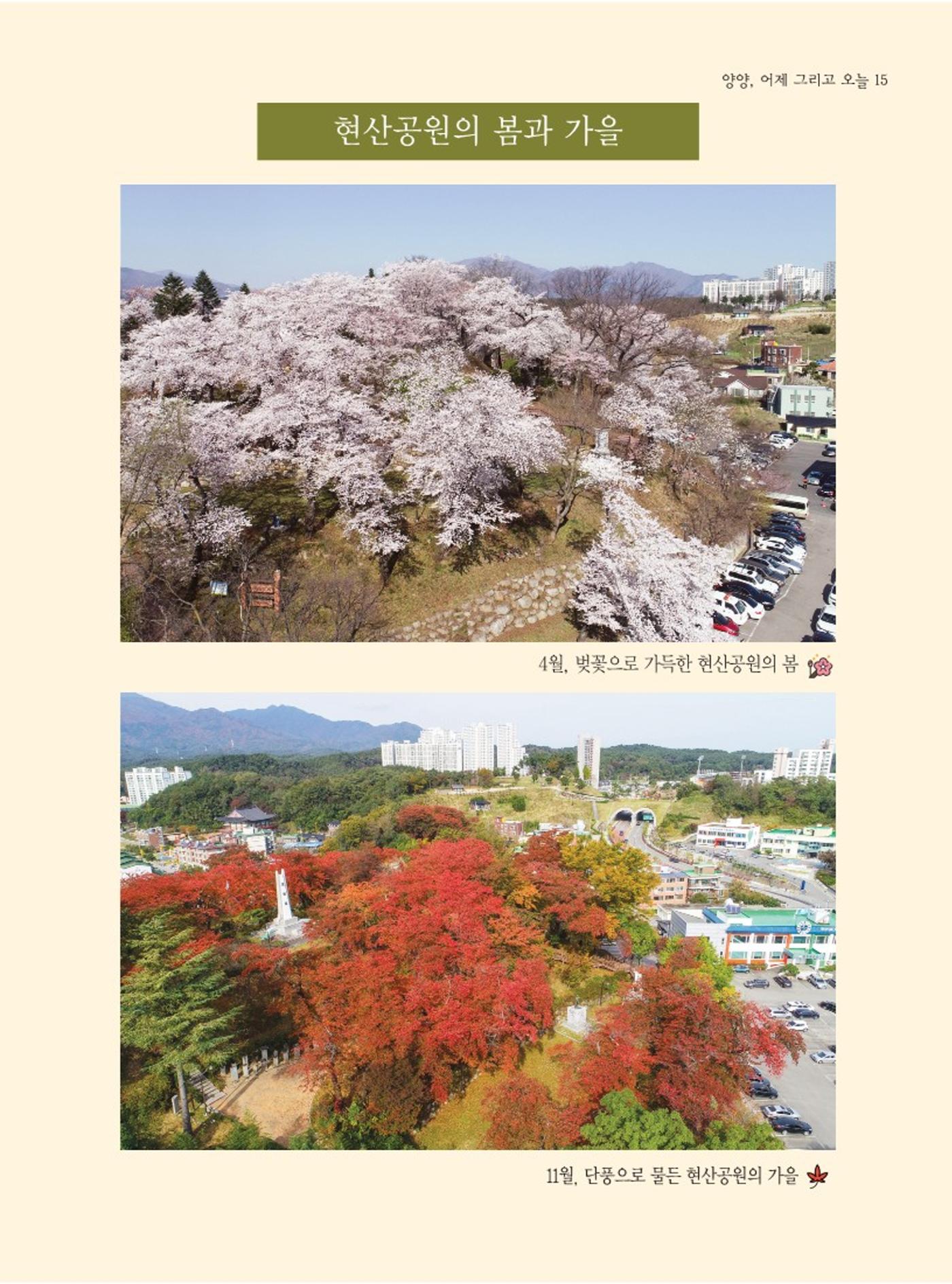 양양소식지 2024. 4월호 15페이지