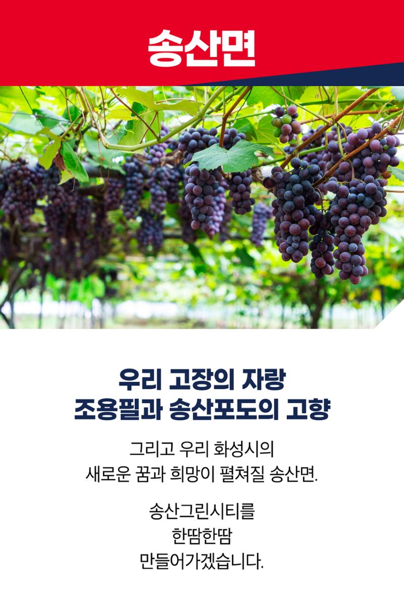 우리 고장의 자랑 조용필과 송산포도의 고향 송산면 3페이지