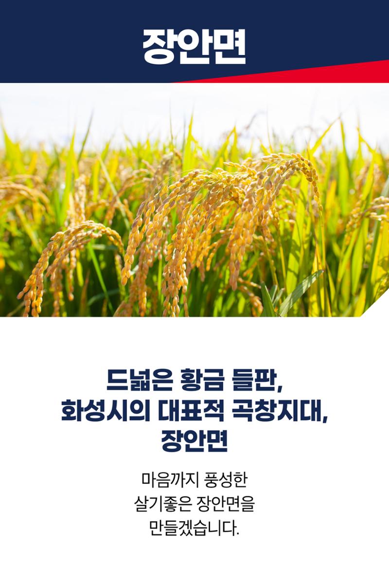드넓은 황금 들판, 화성시의 대표적 곡창지대 장안면 3페이지