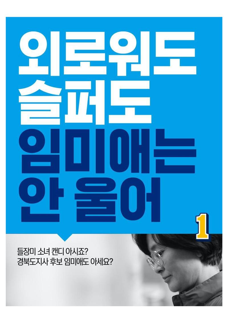 더불어민주연합 임미애입니다 13페이지