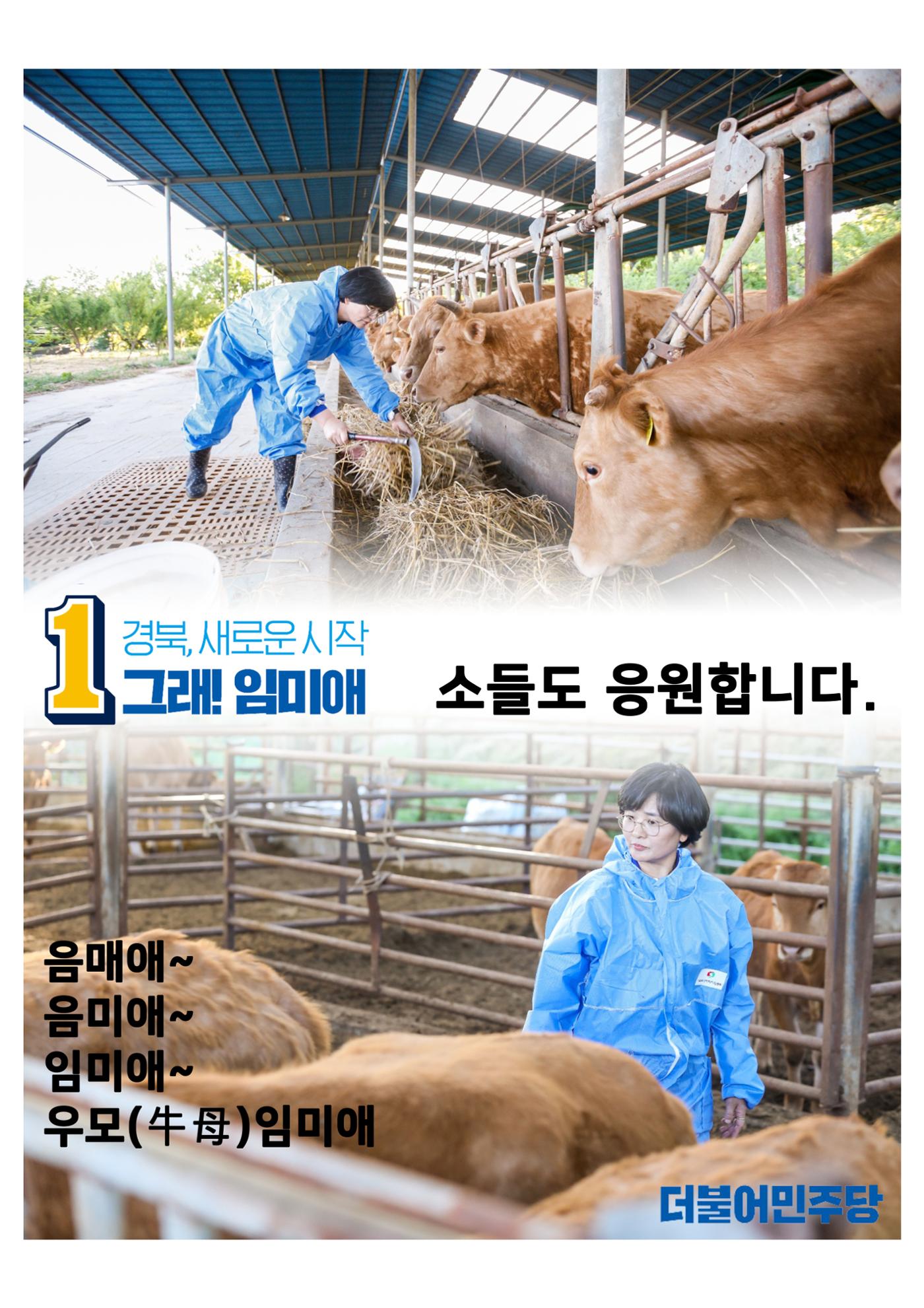 더불어민주연합 임미애입니다 12페이지