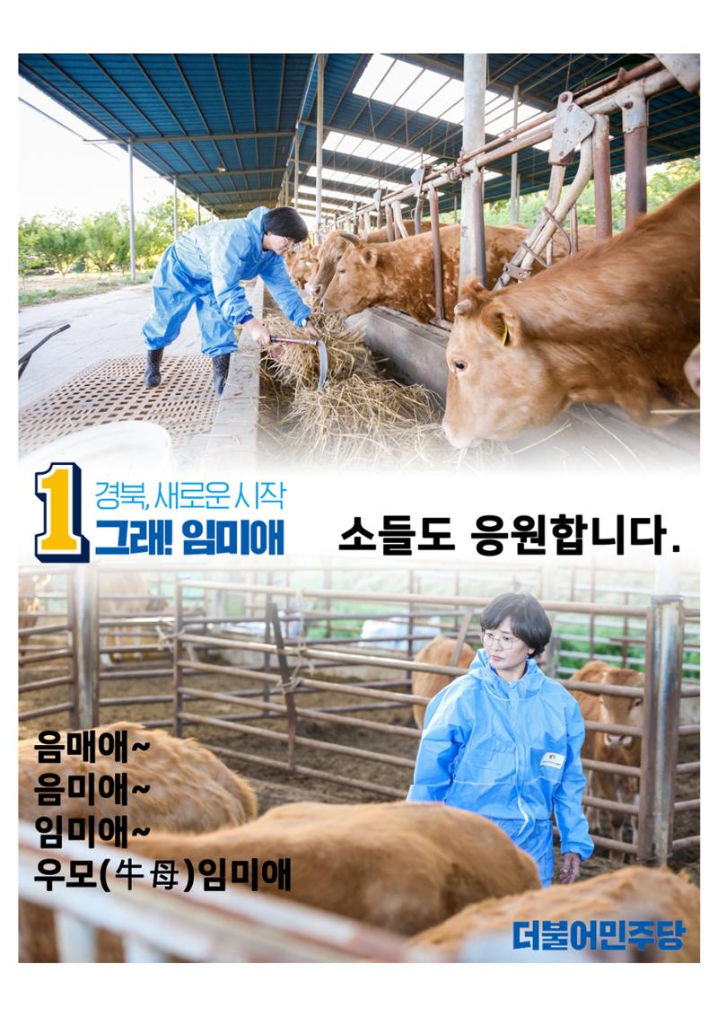 더불어민주연합 임미애입니다 12페이지