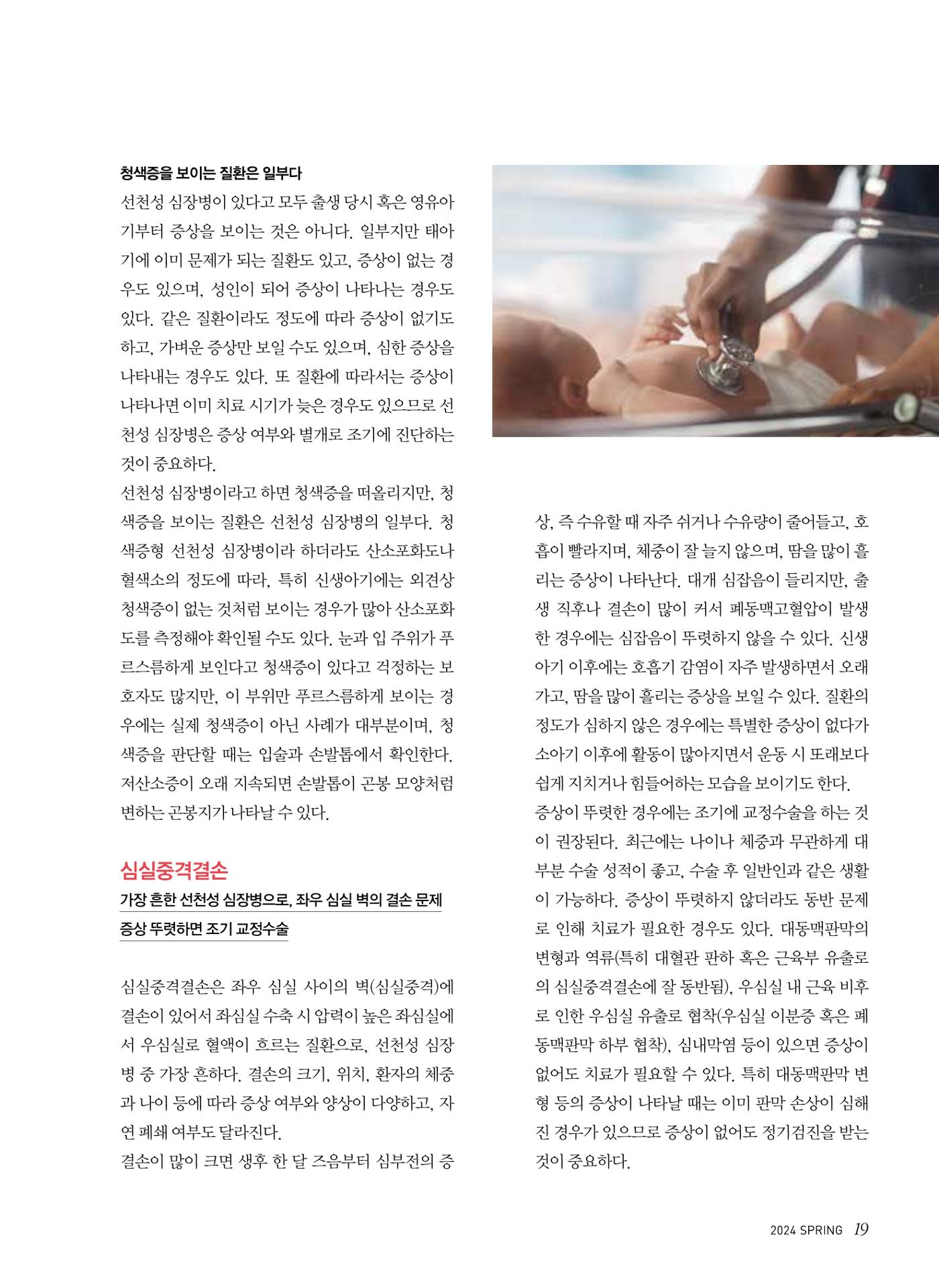 2024 심장소식 봄호 141호 19페이지