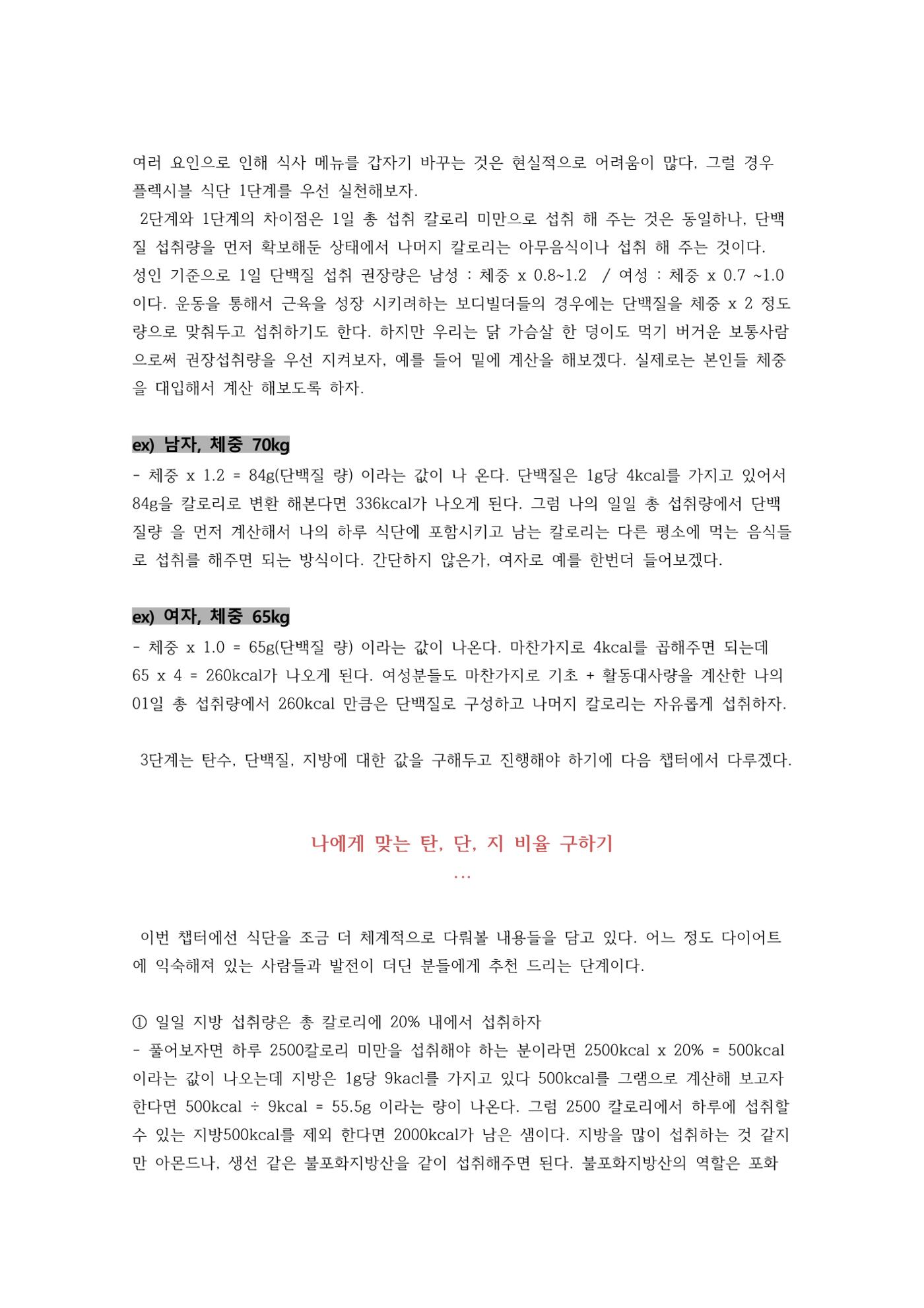 다이어트 성공 공식 13페이지