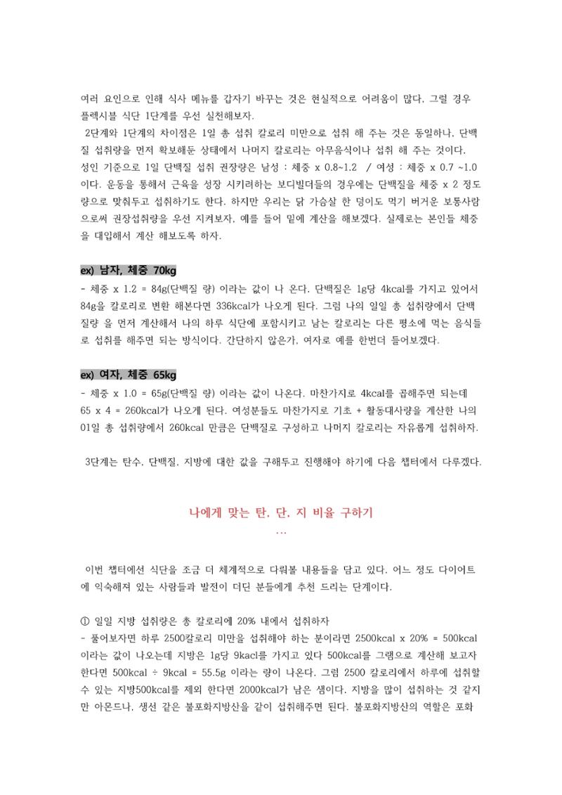다이어트 성공 공식 13페이지