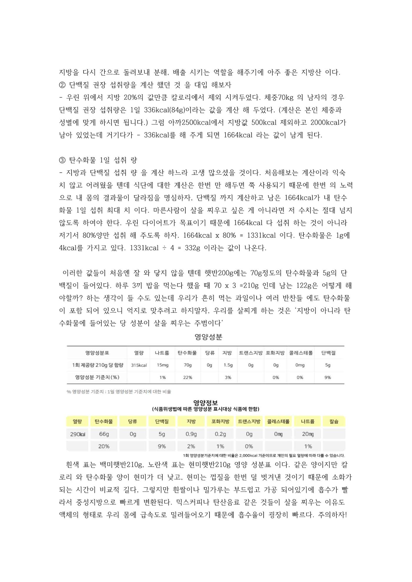 다이어트 성공 공식 14페이지