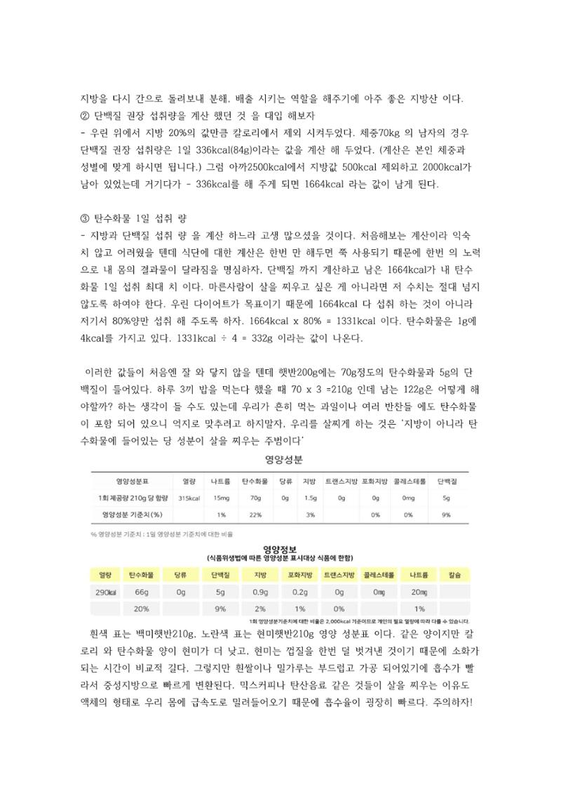 다이어트 성공 공식 14페이지