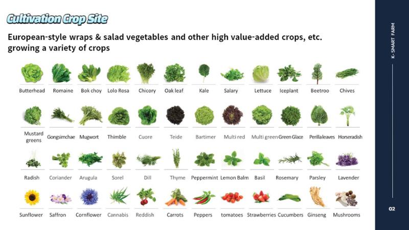 Korean  Modular Smart Farm 17페이지