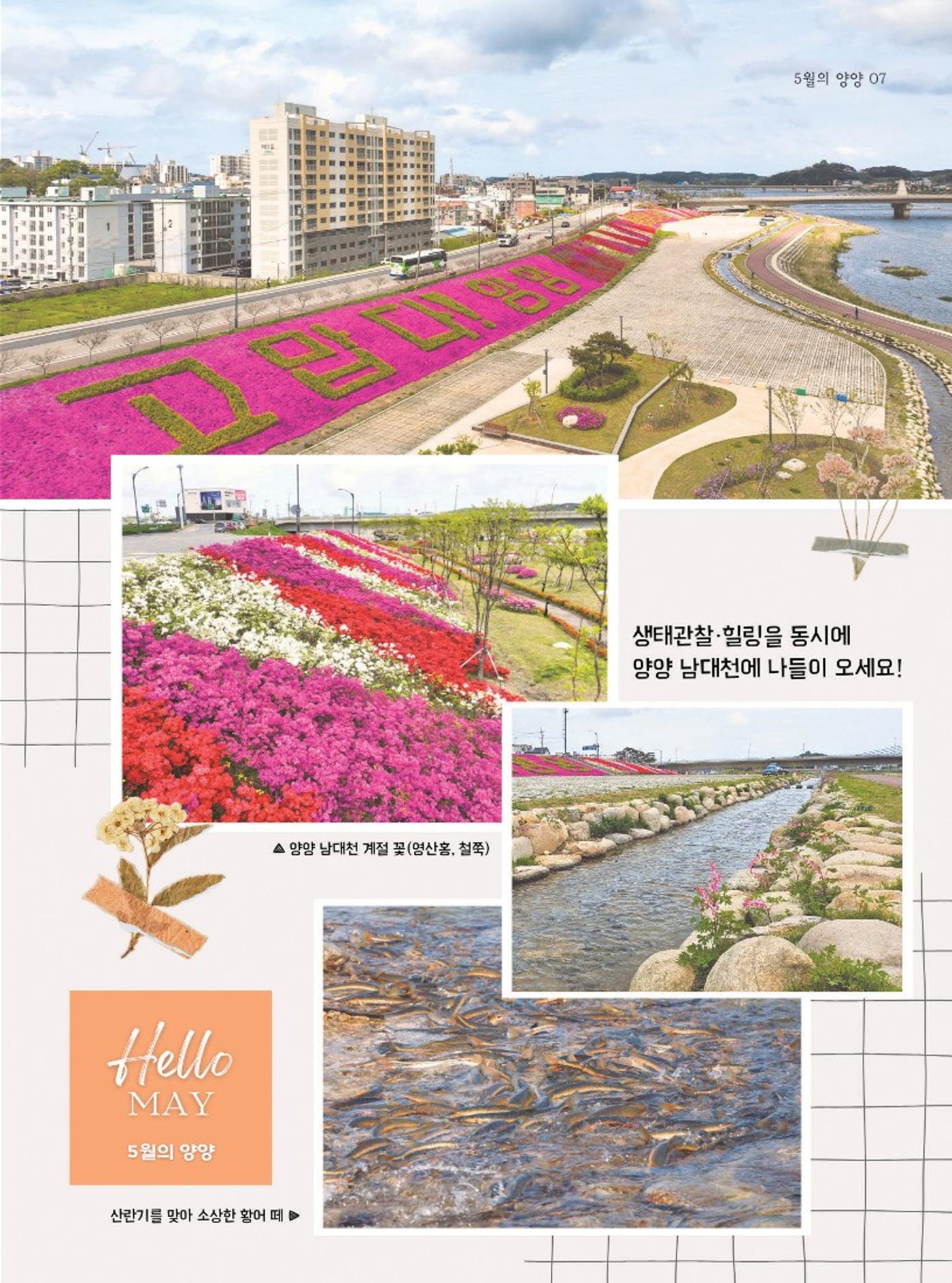 양양소식지 2024. 5월호 7페이지