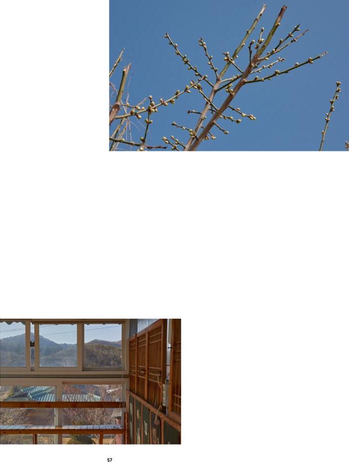 춘천문화매거진 POT 38호 60페이지