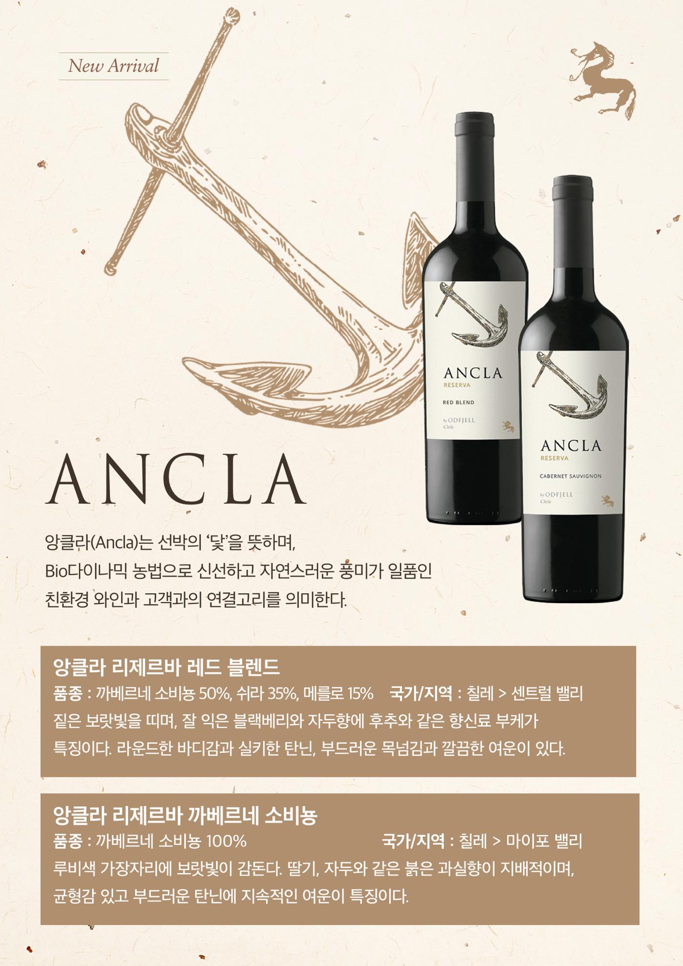동원와인플러스 뉴스레터 7월호🐬 9p