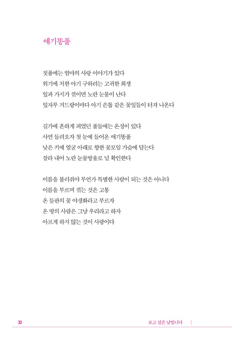 정소영 작품집 (보고 싶은 날입니다) 31페이지