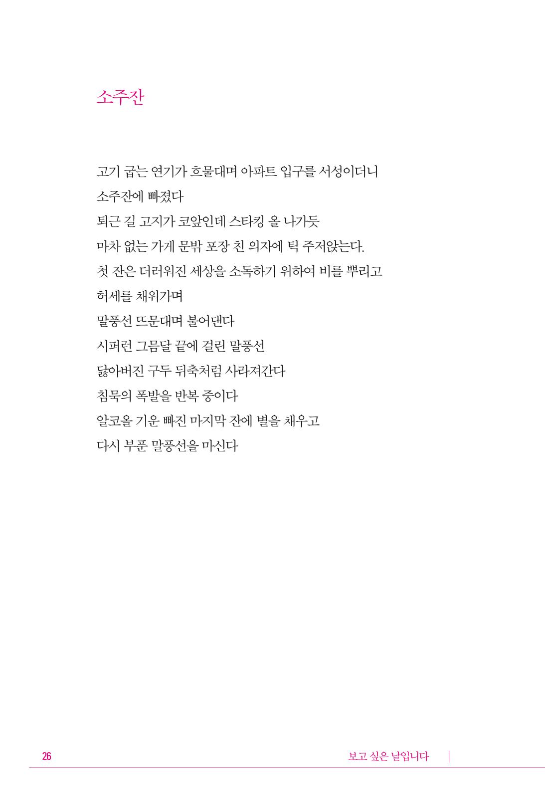 정소영 작품집 (보고 싶은 날입니다) 27페이지