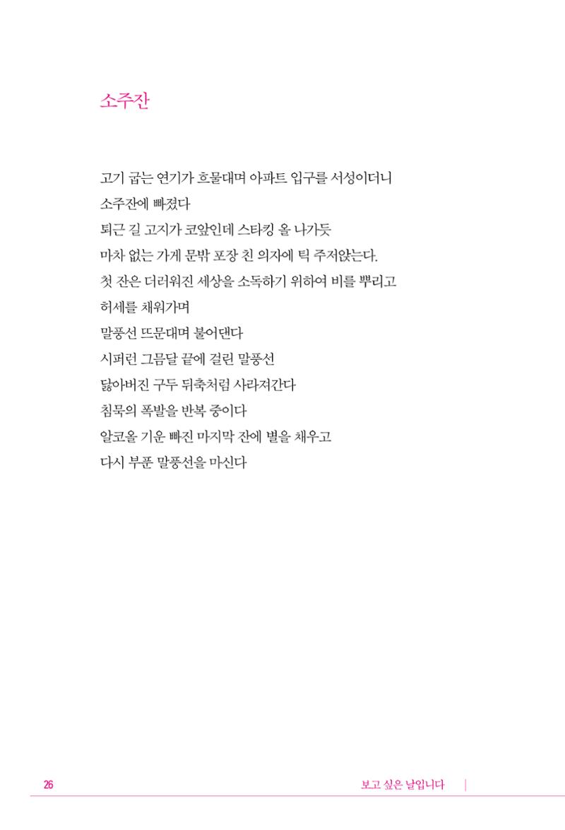 정소영 작품집 (보고 싶은 날입니다) 27페이지