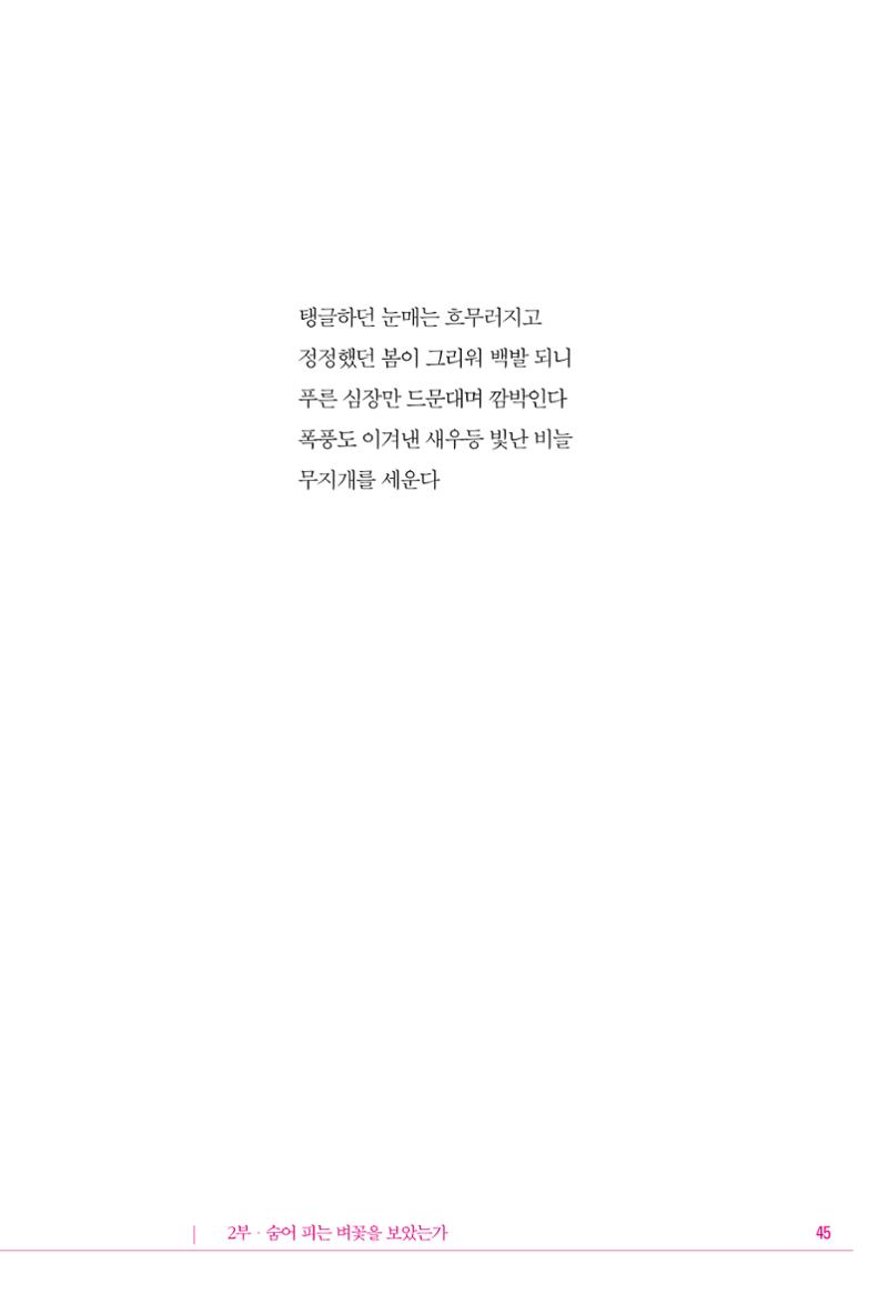 정소영 작품집 (보고 싶은 날입니다) 46페이지