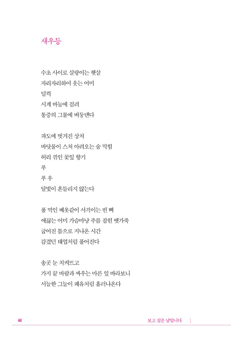 정소영 작품집 (보고 싶은 날입니다) 45페이지