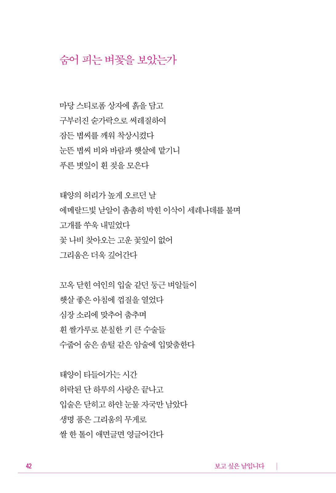 정소영 작품집 (보고 싶은 날입니다) 43페이지