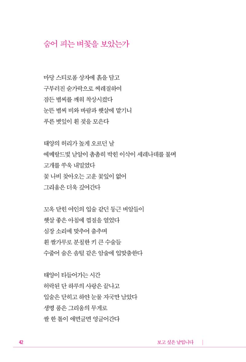 정소영 작품집 (보고 싶은 날입니다) 43페이지