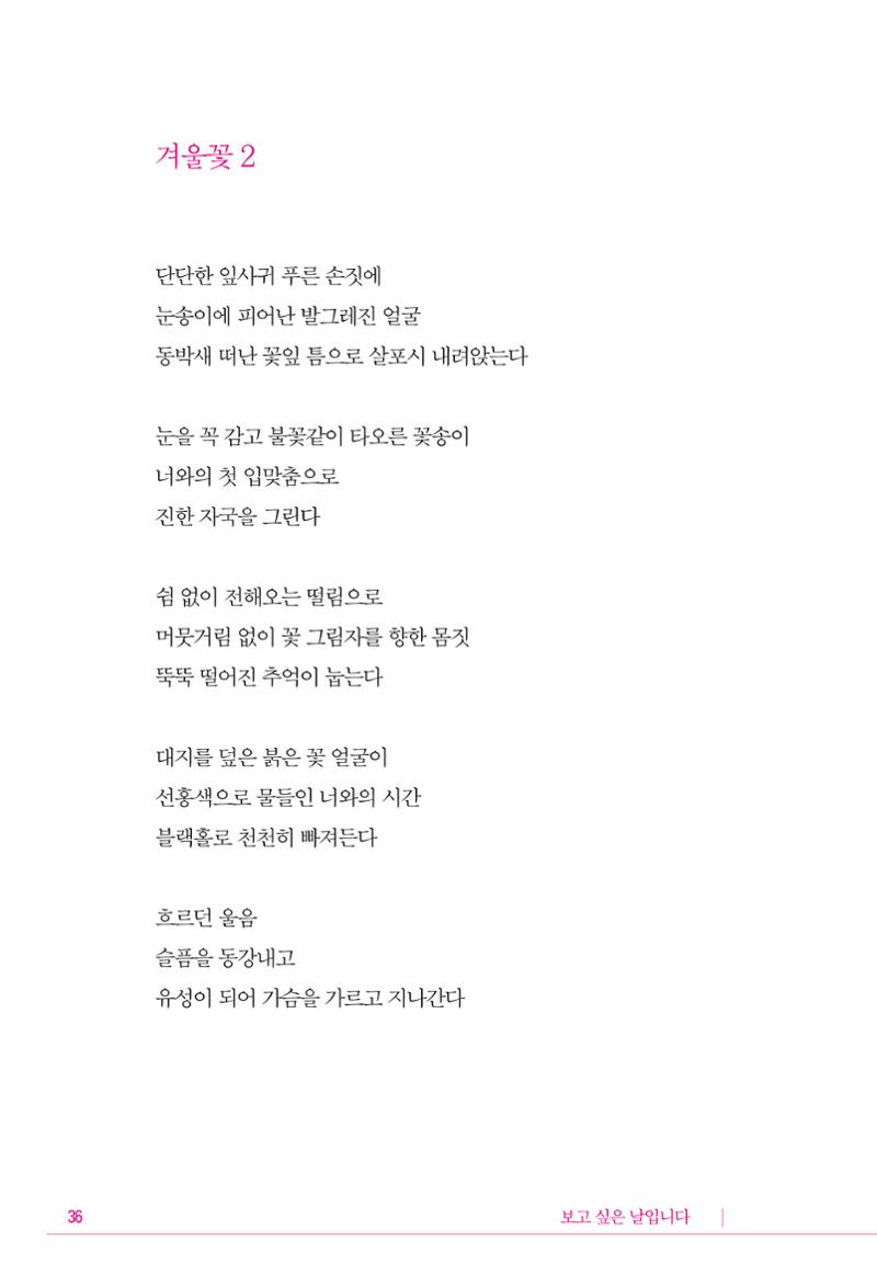 정소영 작품집 (보고 싶은 날입니다) 37페이지