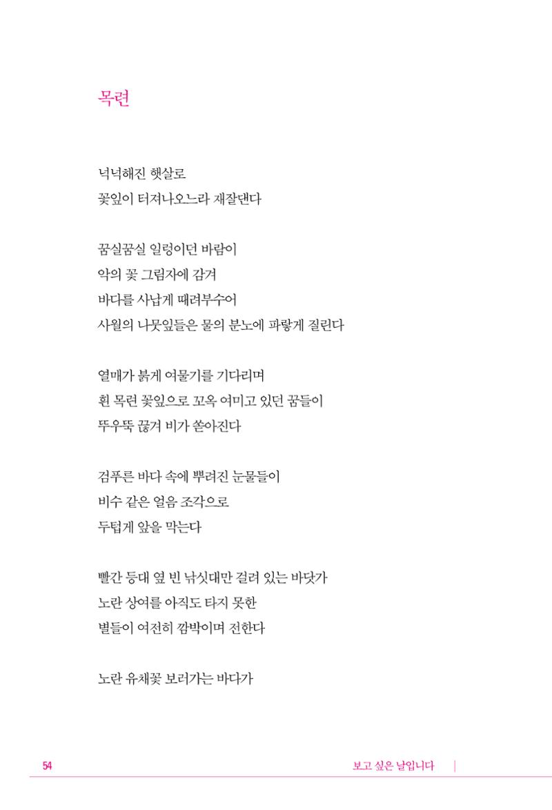정소영 작품집 (보고 싶은 날입니다) 55페이지