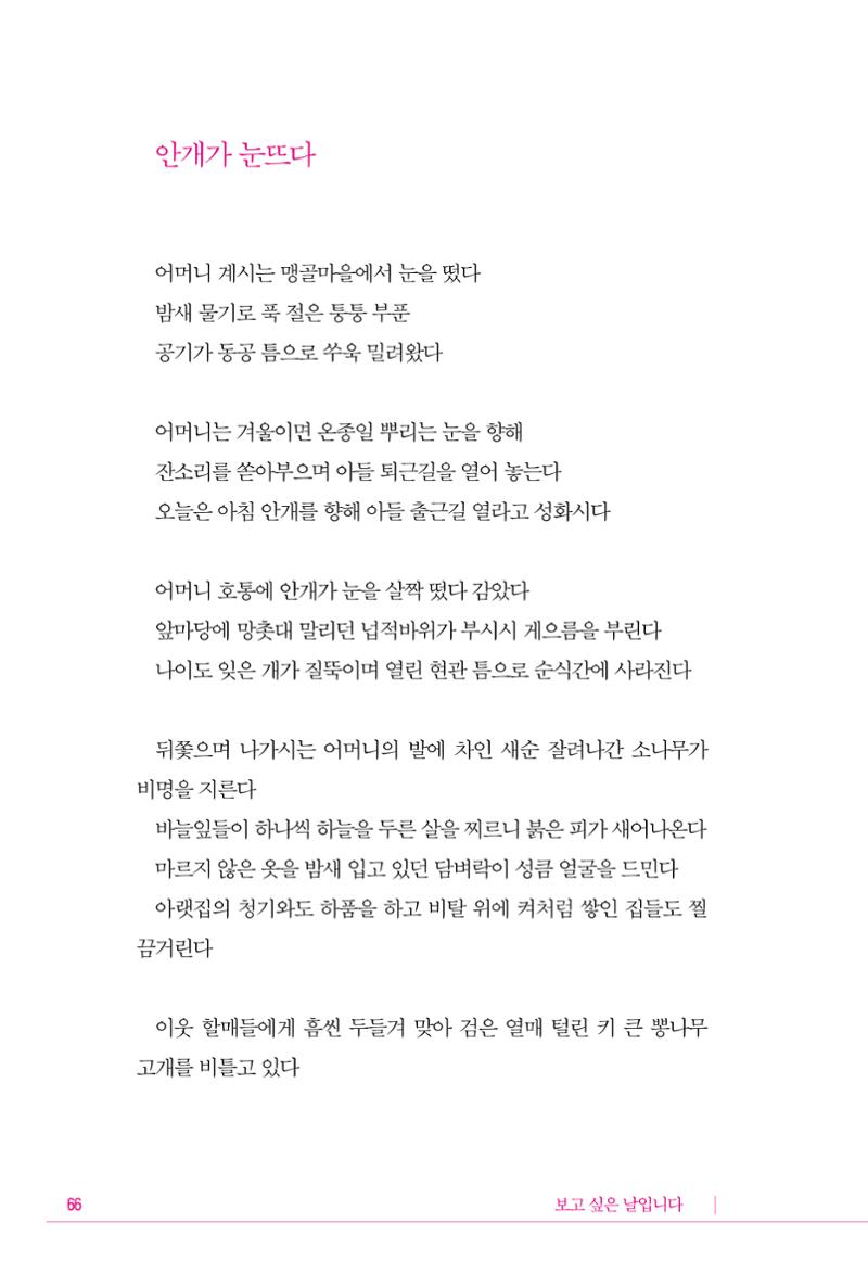 정소영 작품집 (보고 싶은 날입니다) 67페이지