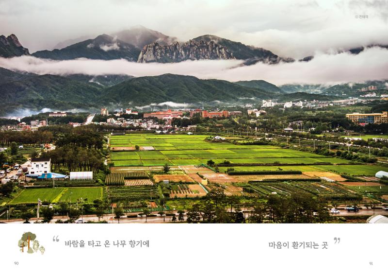 속초살이 이모저모 48페이지