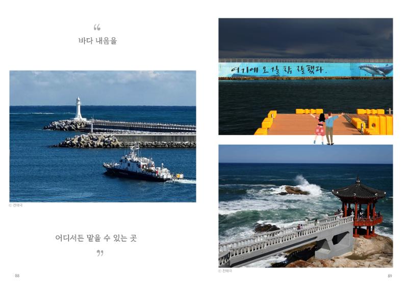 속초살이 이모저모 47페이지